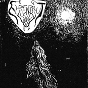 Mein starrer Blick in die Dunk