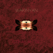 Wakinyan by Wakinyan