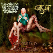 Contorted Mutilation (Split)