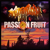 Passion Fruit