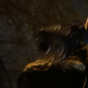 Drunk and Nasty (High Off a Pill) - Single