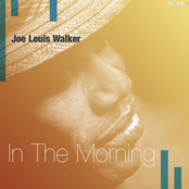 Strange Loving by Joe Louis Walker