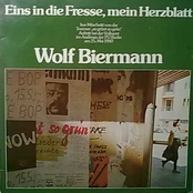 Eins in die Fresse, mein Herzblatt