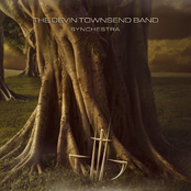 Mental Tan by The Devin Townsend Band