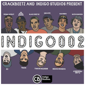 INDIGO002
