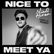 Nice to Meet Ya (Diplo Remix) - Single