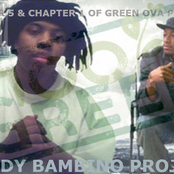 Shady Bambino Project