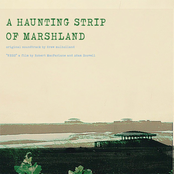 A Haunting Strip of Marshland