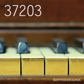 37203