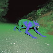 Op Het Spectrum Scoor Ik Hoog