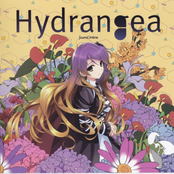 Hydrangea by Sound Online