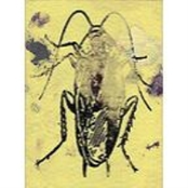 Rig Demos & Other Anti Muse Sick