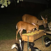 tell me we’re okay