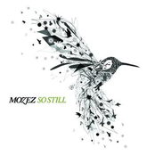 So Still by Mozez