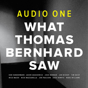 What Thomas Bernhard Saw