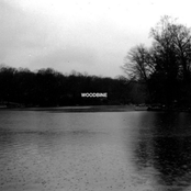 WOODBINE