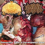 Putrescent Flesh in Decomposed State