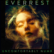 Everrest: Uncomfortably Numb