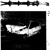 Falling with the snow