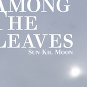 Black Kite by Sun Kil Moon