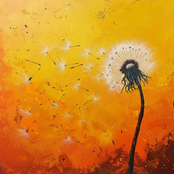 Lofi For All the Things You Do