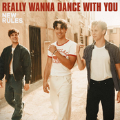 New Rules: Really Wanna Dance With You