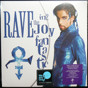 Rave In2 The Joy Fantastic
