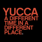 You Know by Yucca