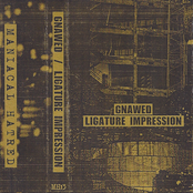 Gnawed / Ligature Impression - Split