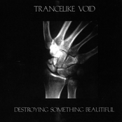 Part Ii: Fragile Consciousness by Trancelike Void