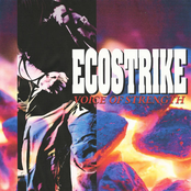 Ecostrike: Voice of Strength