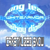 Crystalized Snow