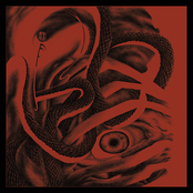 Perpetually Immersed in Mystical Delirium