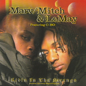 Livin-N-Tha Strange