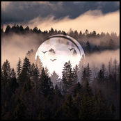 Echoes in the Valley, Vol. 9