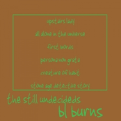 the still undecideds