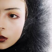 Vida en Terranova - Single