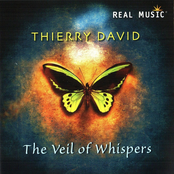 The Veil Of Whispers by Thierry David