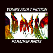 Paradise Birds