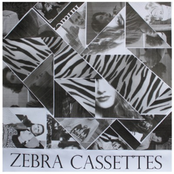 zebra cassettes