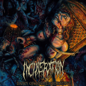 Dawn of Dismemberment