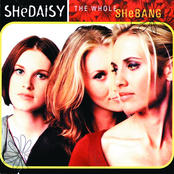 A Night To Remember by Shedaisy