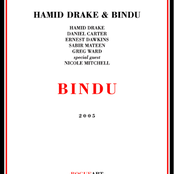Bindu