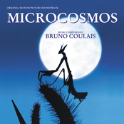 Microcosmos by Bruno Coulais