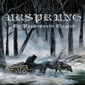 En Psykonauts Elegier