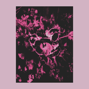 Hold A Mirror To Your Eye, Who Do You See In Its Reflection?