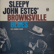 Vassie Williams by Sleepy John Estes