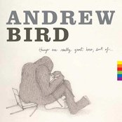 Far From Any Road (be My Hand) by Andrew Bird