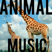 animal-music