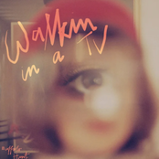 Walkin' in a T.V.
